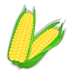 corn on the cob
