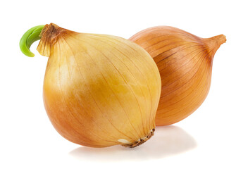 Onion isolated on white background.