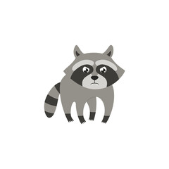 Baby raccoon forest animal character cartoon flat vector illustration isolated.