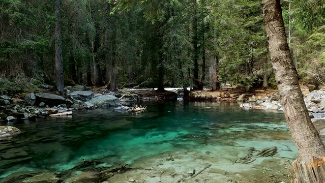Alpine landscape on Lake Turchese of Amola