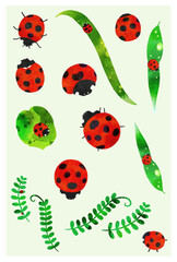 てんとう虫のイラスト © hippe