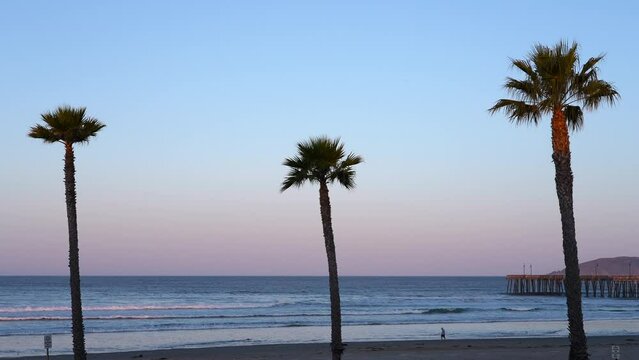 Looking through the palm trees lining Pismo Beach at the ocean with a view of the famous pier and a lone person walking on the beach