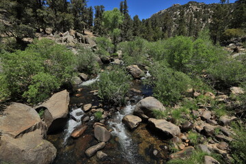 Fototapeta na wymiar Beautiful Scenery in Sierra, Central California