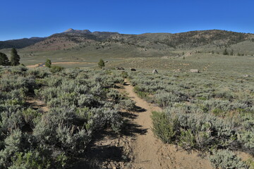 Beautiful Scenery in Sierra, Central California