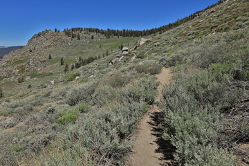 Beautiful Scenery in Sierra, Central California