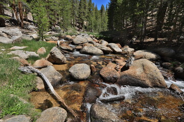 Beautiful Scenery in Sierra, Central California