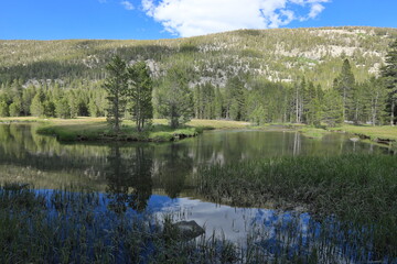 Beautiful Scenery in Sierra, Central California