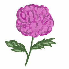 spring flowers,peonies,beautiful floral print,purple violets,buttercups,yellow flowers,blue flowers.green leaves,beautiful floral pattern,love,with love inscription,valentine's day,mother's day,father