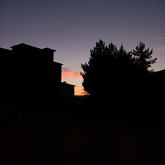 Obraz premium shadow