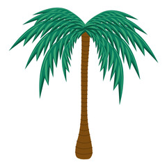Cute palm tree flat vector isolated illustration