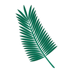 Fototapeta premium Exotic tree branch with leaves vector isolated illustration