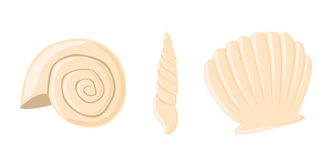 Empty seashell flat vector isolated illustration collection