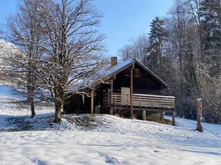 Indigenous alpine huts and wooden cattle stables on Swiss pastures covered with fresh white snow cover, Nesslau - Obertoggenburg, Switzerland (Schweiz)