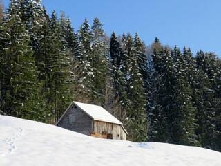 Indigenous alpine huts and wooden cattle stables on Swiss pastures covered with fresh white snow cover, Nesslau - Obertoggenburg, Switzerland (Schweiz)