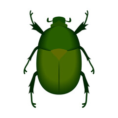 カナブンのイラスト