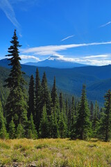 Obraz premium Beautiful mountain in Washington State