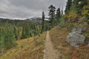 Fototapeta na wymiar Beautiful mountain in Washington State