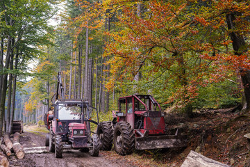 Fototapeta na wymiar tractor in the forest