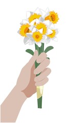 Side view hand holding a bunch of daffodil flowers, isolated on white background