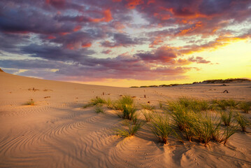Beautiful desert landscape during golden hour - obrazy, fototapety, plakaty