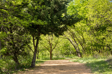 Natural trail in a park