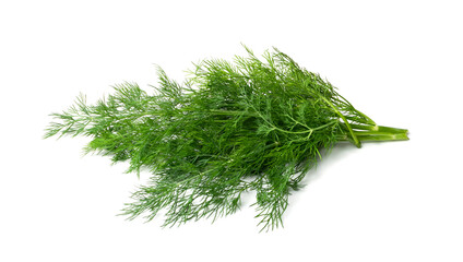 Dill Sprigs Isolated