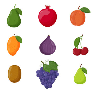 Set of fruits. Vegetarian food, healthy eating concept. Avocado, pomegranate, peach, mango, fig, cherry, kiwi, grape, pear. Flat vector illustration