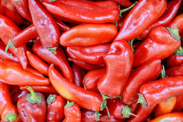 Closeup view of fresh red bell pepper. Harvest of vegetables