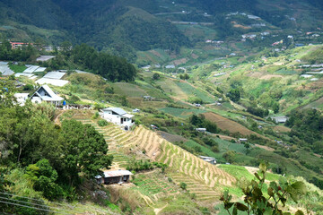 Kundasang valley is featured with terraced hill slopes planted with highlands vegetables and...