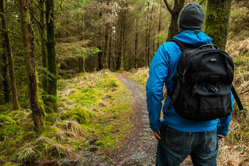 Male tourist walking on a twisted path into a forest. Man in blue jacket with black backpack. Travel and outdoor activity concept.