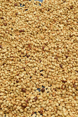  Close up of coffee beans for background                                                               