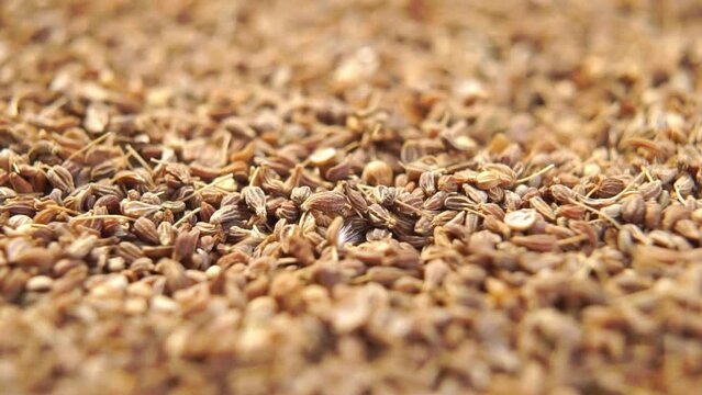 Dry anise seed falling in slow motion. Aniseed dried spice. Macro. Rotation