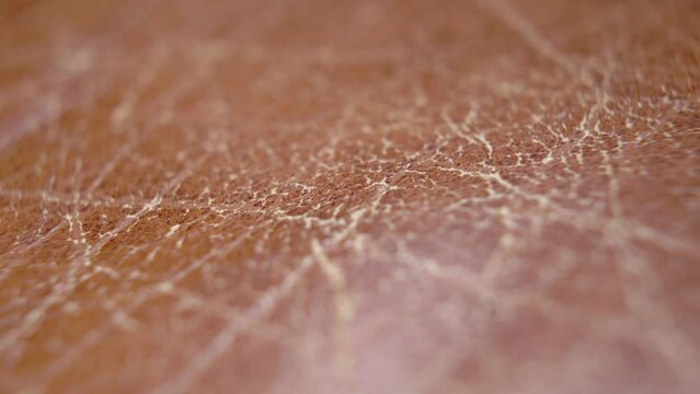 Aged shabby cracked brown leather surface. Macro. Dolly shot