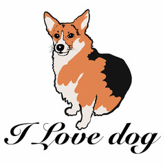 dog,human friend,four-legged friend,nose,paws,tail,dogs,corgi,I love corgi inscription,heart of love for a dog corgi,red-black corgi,short paws,loyalty,devotion,courage,protection,self-sacrifice,a fai