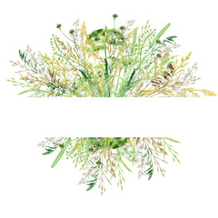 Watercolor green grass border frame, wild meadow herbal greenery illustration, cereal wild plants, floral hand drawn spring summer natural herbs isolated on white background with copy space for text