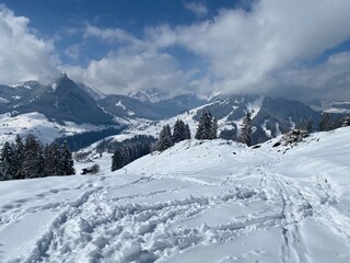 Wonderful winter hiking trails and traces on the slopes of the Alpstein mountain range and in the fresh alpine snow cover of the Swiss Alps, Nesslau - Obertoggenburg, Switzerland (Schweiz)