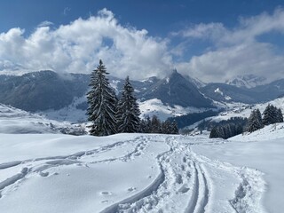 Wonderful winter hiking trails and traces on the slopes of the Alpstein mountain range and in the fresh alpine snow cover of the Swiss Alps, Nesslau - Obertoggenburg, Switzerland (Schweiz)