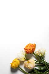 tulip flowers bouquet on white background. Flat lay, top view floral festive holiday concept. place for your text, selective focus