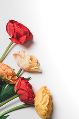 Fototapeta premium tulip flowers bouquet on white background. Flat lay, top view floral festive holiday concept. place for your text, selective focus