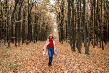 Fototapeta premium Beautiful girl, girl in a coat, girl in the woods