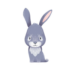 Bunny illustrtion on white background.