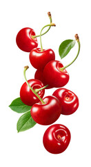 Flying sweet red cherries isolated on white background. Vertical layout.