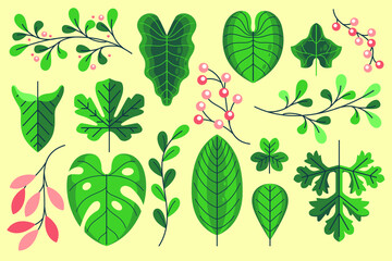 flat tropical leaves set collection