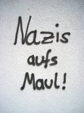Nazis aufs Maul