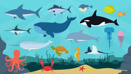 Obraz na płótnie Canvas Vector set of ocean animals and fish. Underwater world. Shark, dolphin, narwhal, blue whale, octopus, sperm whale, swordfish, killer whale.