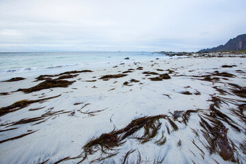 Autumn landscape and beach in Lofoten Islands, Northern Norway