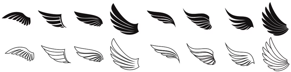 Fotobehang Falcon wing icon vector set. angel illustration sign collection. air symbols. bird logo. © Denys