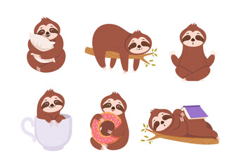 Sloths. Cute lazy sloths relax on branches wild animals in action poses baby hanging trees asleep characters exact vector cartoon pictures © ONYXprj