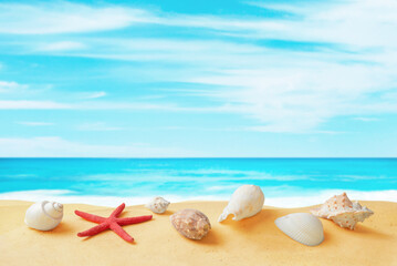 Fototapeta na wymiar Shells and sea star on beach sand with clean sea and sky in background. Tropical travel composition with copy space