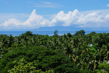 The stunning tropical Atauro Island covered in coconut palm trees with a glimpse of blue ocean and...